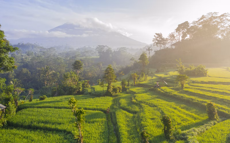 bali place