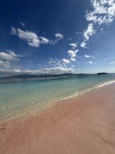 Komodo Island img 0797