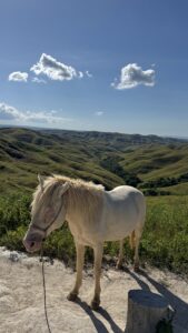 Sumba img 7994