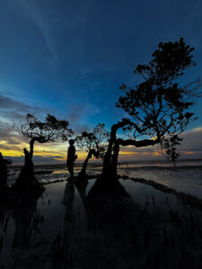 Sumba img 9897