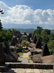 Sumba photo 2026 09 15 14 57 37
