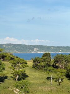 Sumba photo 2026 09 15 15 05 03