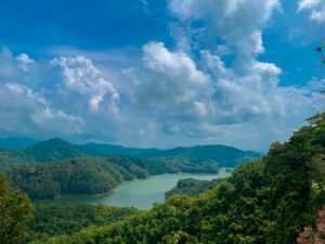 Borneo tia 2izlguva5cq unsplash